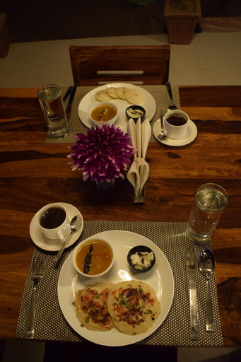 Food & Drinks 3, Matoshree green stay sariska, Alwar