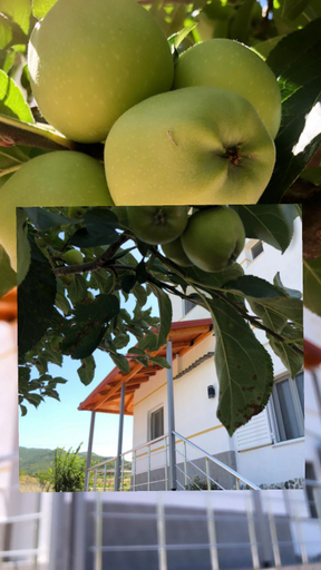 Food & Drinks, Hotel Apostoli, Përmetit