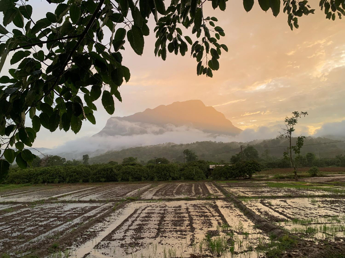Others 5, KraThom Doi Luang, Chiang Dao