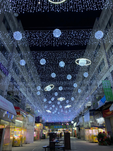Others 4, 台中向日葵, Taichung