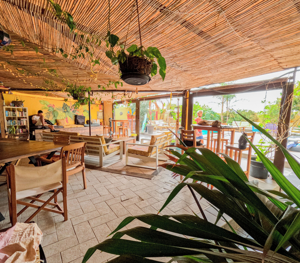 Food & Drinks 5, Los Amigos Nest Hostel, Santa Cruz de Tenerife