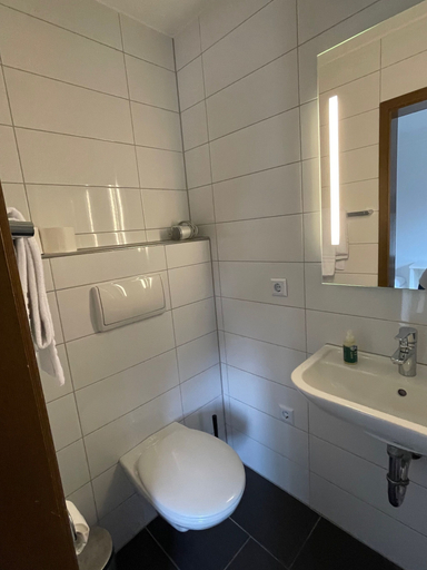 Bathroom 5, Landhotel Sickinger Hof, Rhein-Neckar-Kreis
