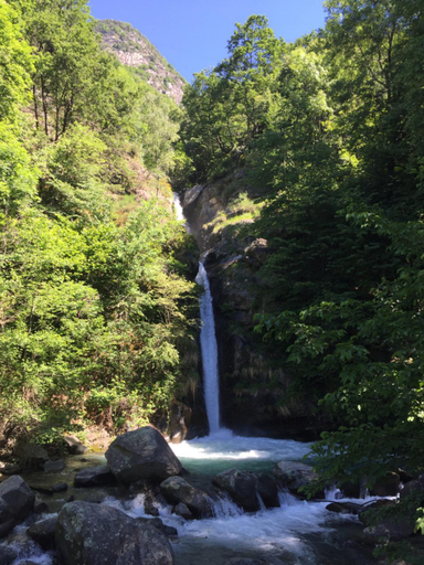 hortus conclus, Sondrio
