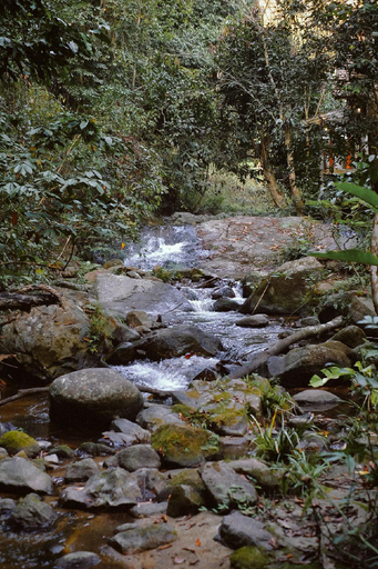 Scenery 10