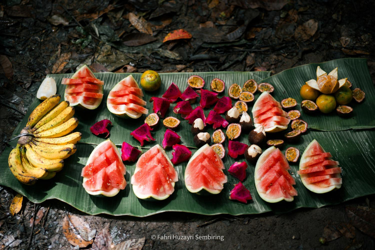 Food & Drinks 3, Sumatra Orangutan Treks Villa & Eco jungle trekking activity, Langkat