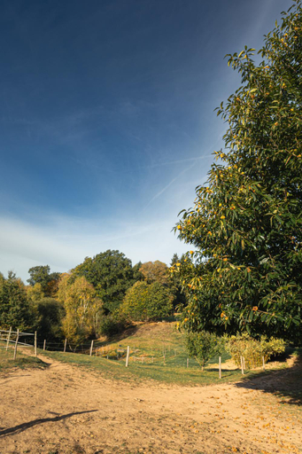 Others 4, Domaine Abbey-Rose, Haute-Vienne