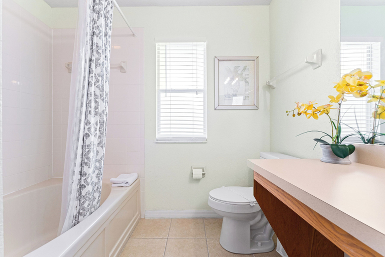 Bathroom 4, Disney Daze, Polk