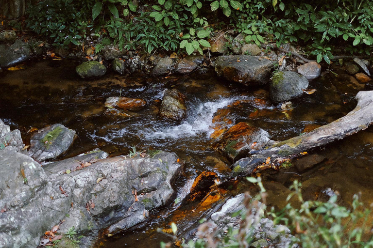 Scenery 11