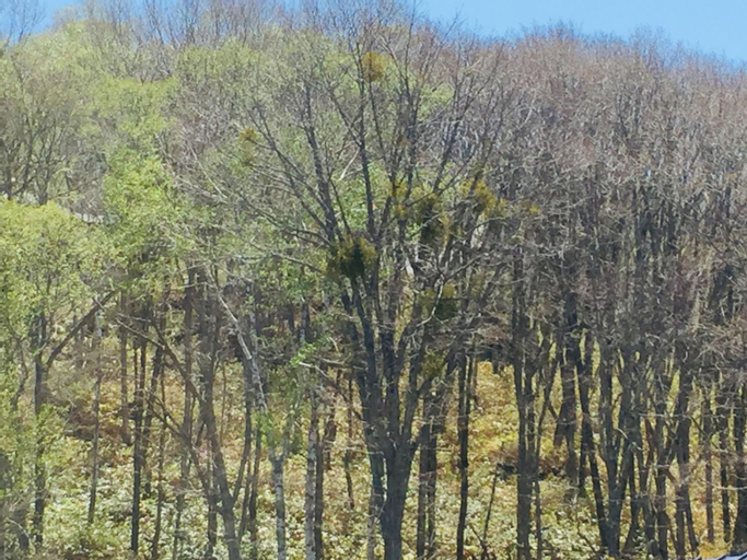 Scenery 1