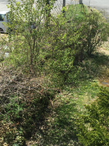 Scenery 3