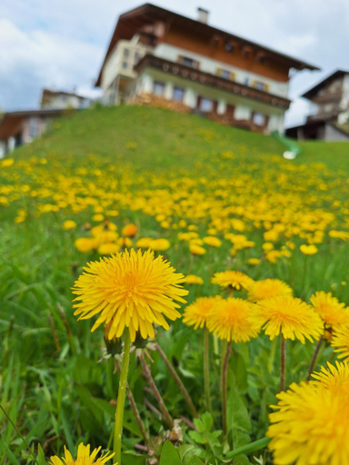 Others 3, Residence Rastbichl - Apartments & Indoor-Pool, Bolzano