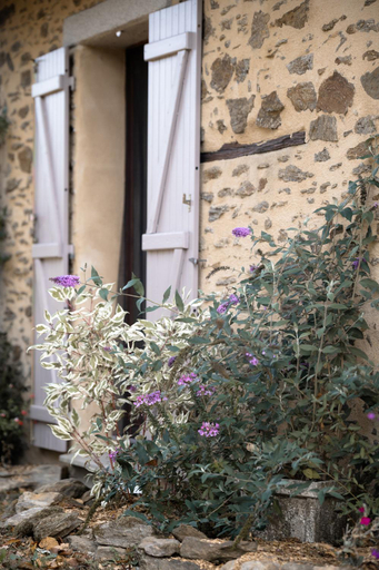 Others 3, Domaine Abbey-Rose, Haute-Vienne