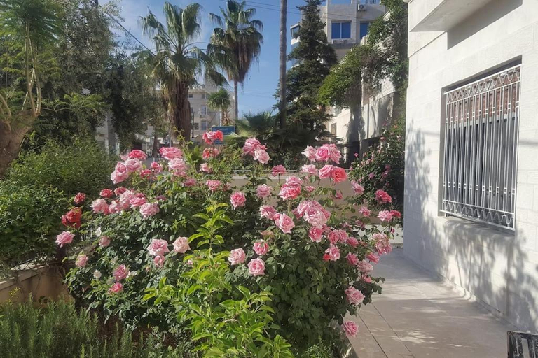 Others 3, Shmeisani homes central location near Abdali, Wadi Essier