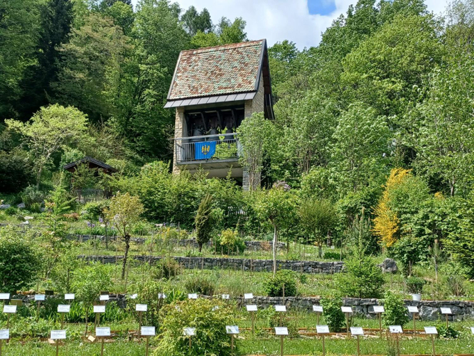 Garden 4, La polse di San Pieri, Udine