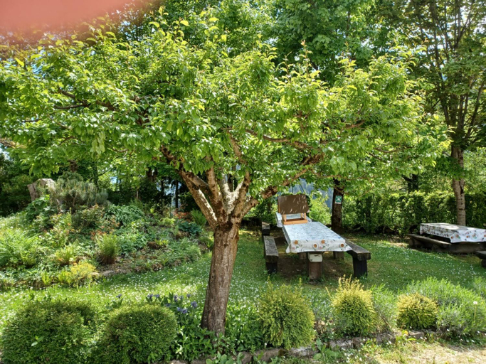 Garden 2, La polse di San Pieri, Udine