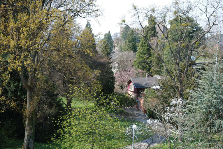 Exterior & Views 2, Balance-Hotel am Blauenwald, Breisgau-Hochschwarzwald