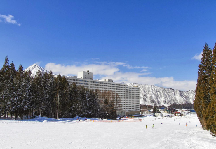 Hotel Angel Grandia Echigo Nakazato, Yuzawa