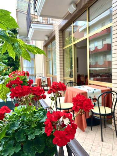 Exterior & Views 2, Hotel B&B Ardea Rimini, Rimini