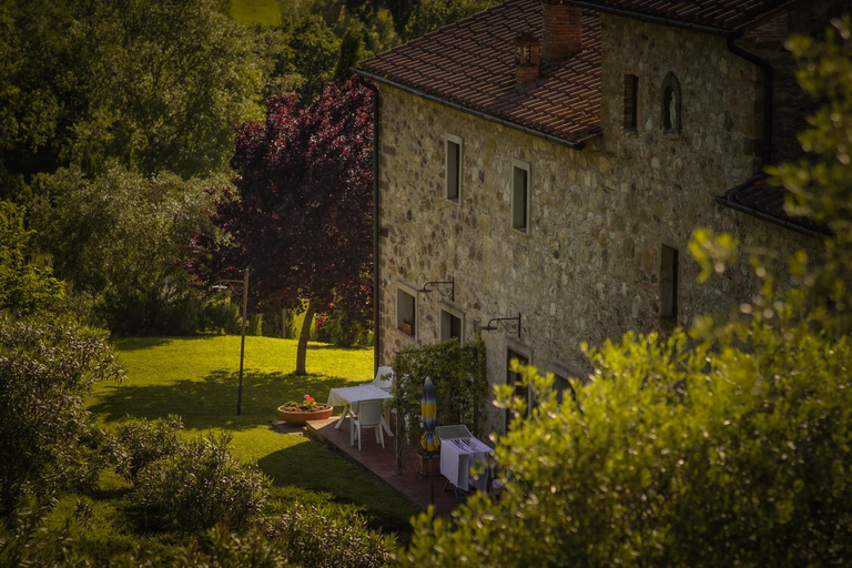 Others 4, Case Vacanze LUCERTOLA, Pisa