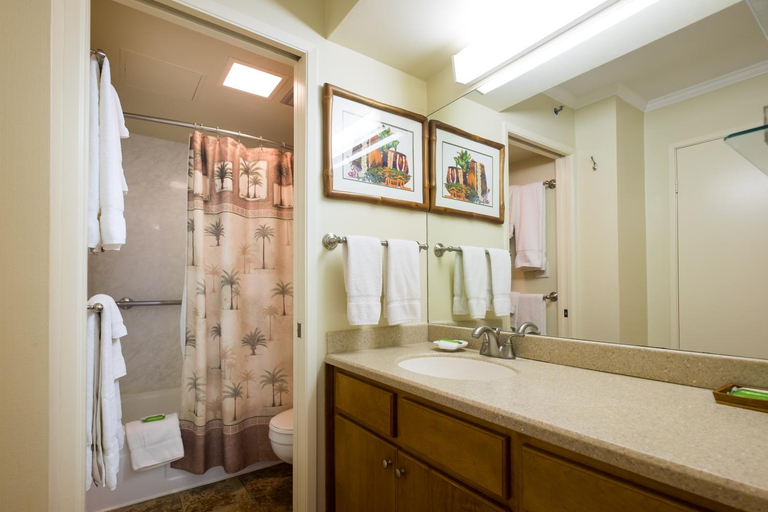 Bathroom, Sweetwater at Waikiki, Honolulu