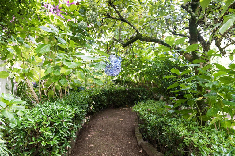 Garden 3, Casa Rural A Capela Carracido, Pontevedra