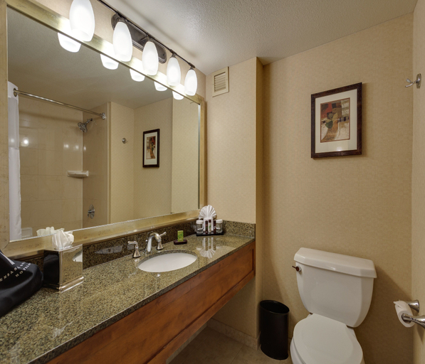 Bathroom 4, Embassy Suites by Hilton San Rafael at Marin Center, Marin