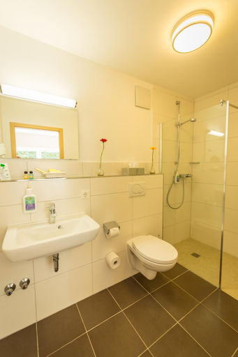 Bathroom 5, Waldhotel Felschbachhof, Kusel