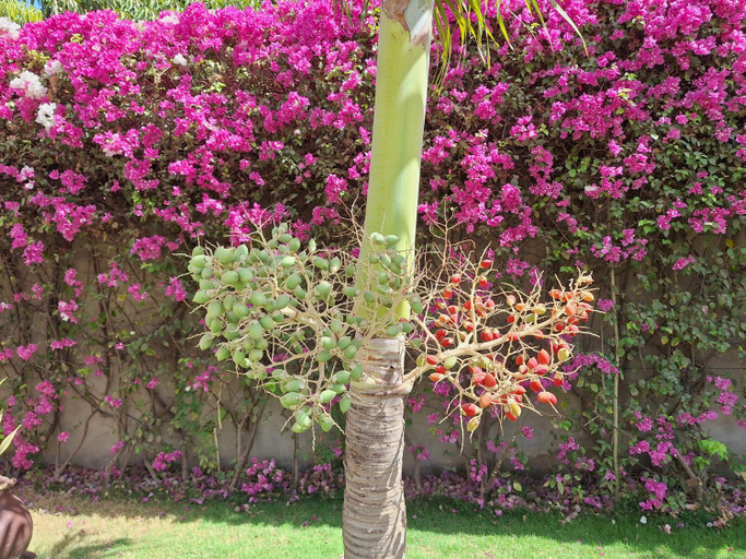 Others 3, Hotel La Belle Etoile & SPA, Mbour