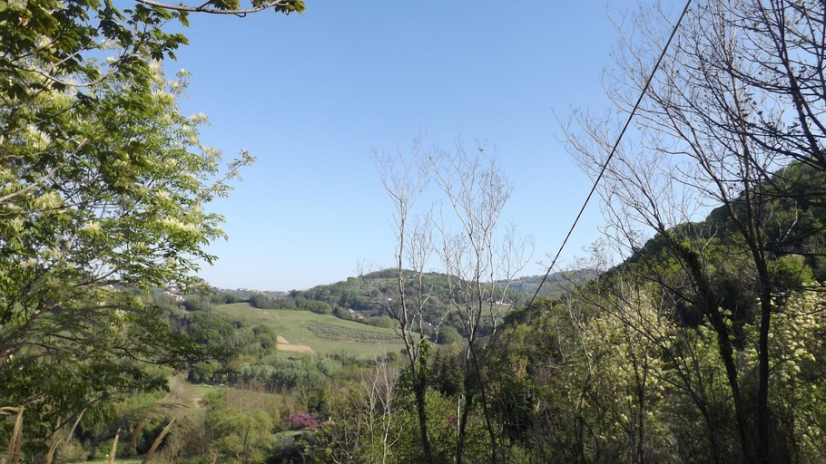 Others 4, Piccolo Gesto d'Affetto, Pesaro E Urbino