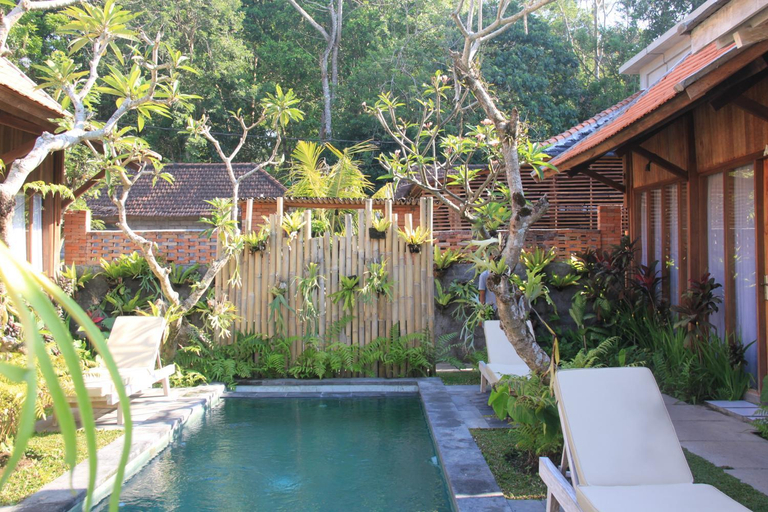 Swimming Pool 11