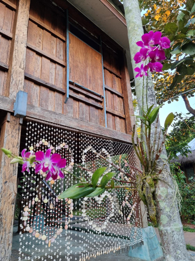 SuanThuKhaw (Ricefield Garden), San Sai