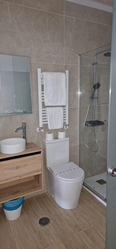 Bathroom 4, La Quinta, Asturias
