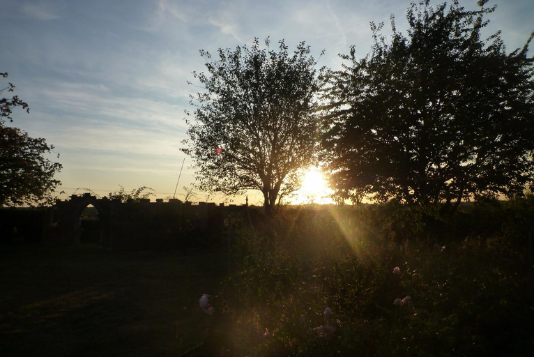 View 5, Squirrel, Suffolk