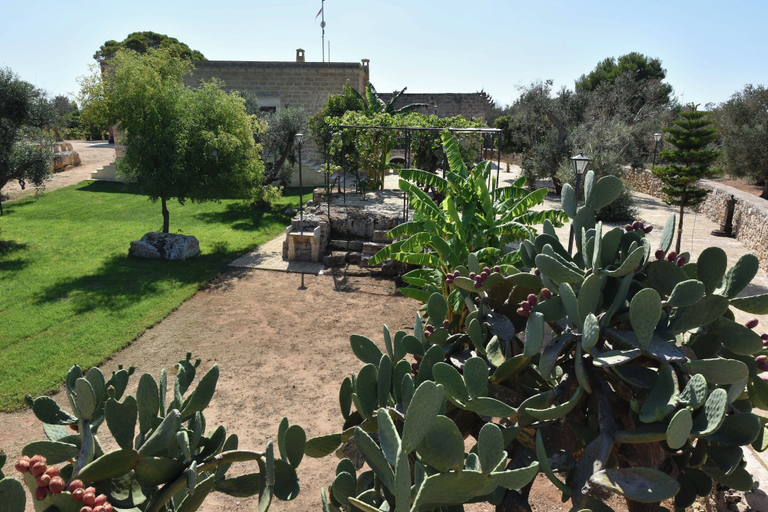 Exterior & Views 2, Masseria la Maestà Ospitalità rurale, Lecce