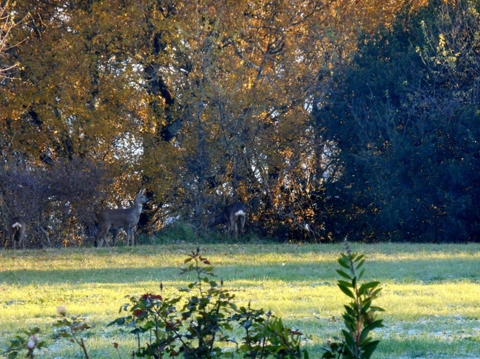 Others 3, Le Colombier, Lot-et-Garonne