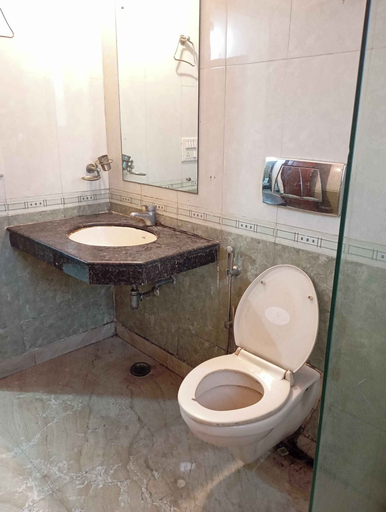 Bathroom 4, Hotel Royal India - South City 1, Gurgaon
