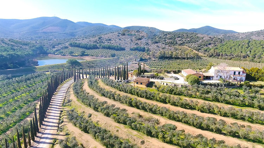 KALI Srl Societa Agricola, Grosseto