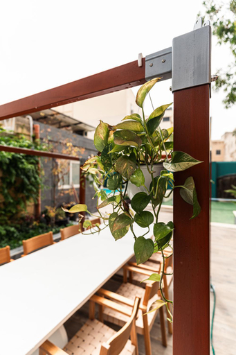 Others 4, Suite 8 at Palazzo Seraphim Boutique living in St Julians, St Julian's