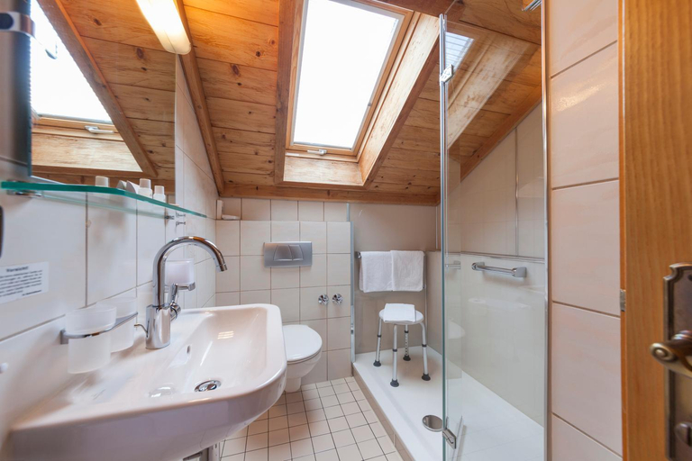 Bathroom 5, Hotel Alpina, Bodenseekreis