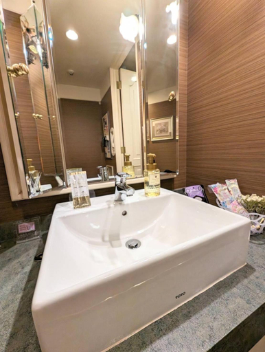 Bathroom 5, D-CUBE奈良店, Nara