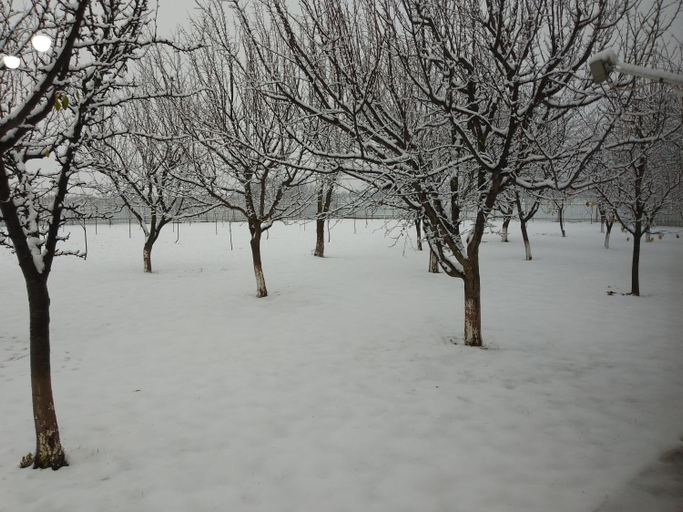 Others 3, La Cabana Girov, Girov