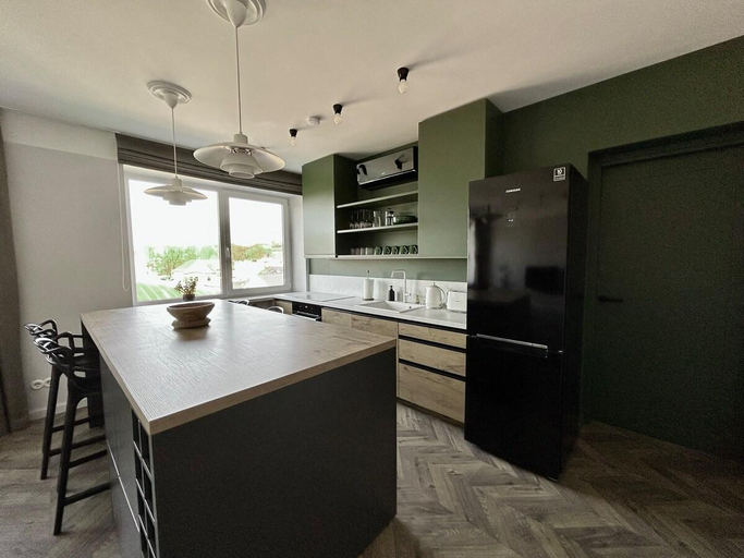 Others 4, Old-New Apartment in Central Kaunas, Kauno