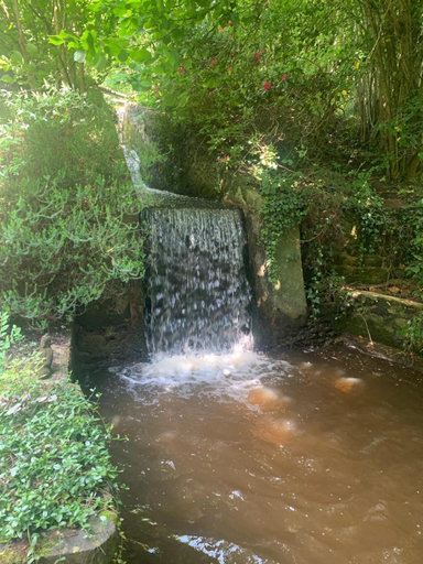 Others 5, Sejour au Moulin de Boiscorde, Perche, Orne