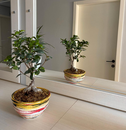 Others 5, Drilon Apartment, Sarandës