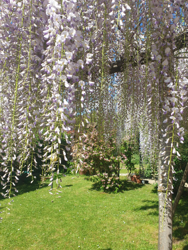Others 4, B&B Tenuta Campo Magliano, Massa Carrara