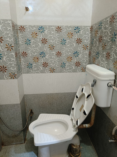 Bathroom 2, Shri Bholanath Atithi Bhavan, Varanasi