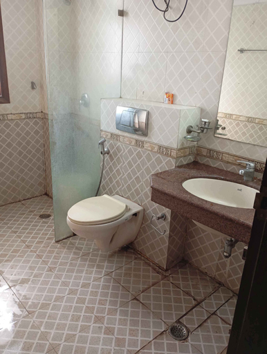 Bathroom 5, Hotel Royal India - South City 1, Gurgaon