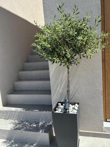 Others 5, DREAM ZEN at Mantineia, Peloponnese