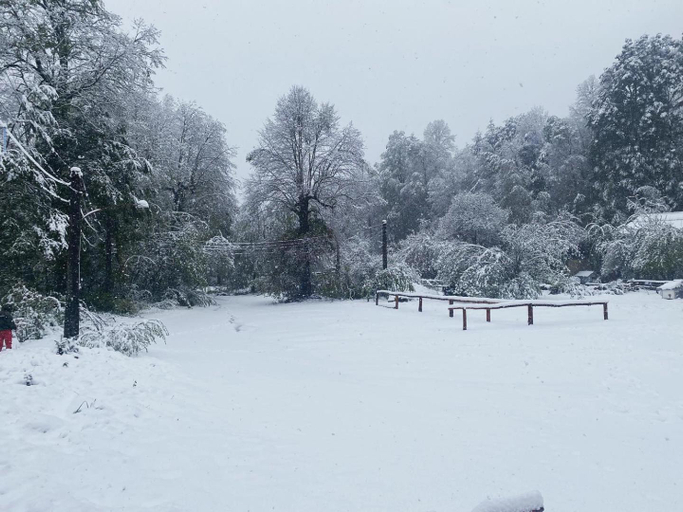 3, Termas Palguin Pucon, Cautín