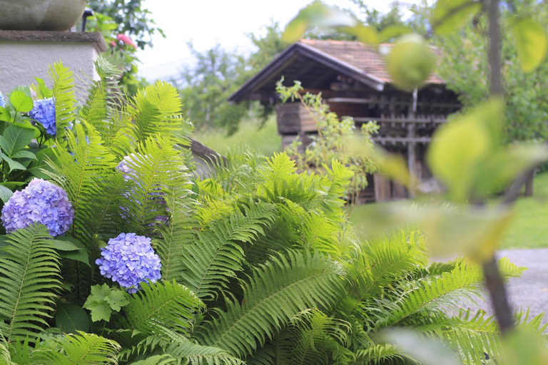 Garden 3, Apartments Gasserhof, Bolzano